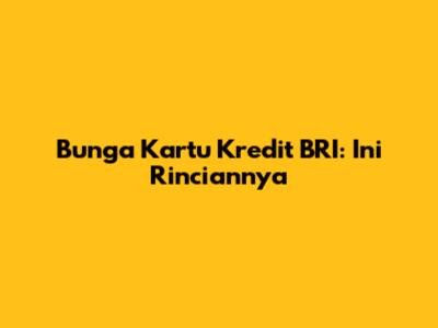 Bunga Kartu Kredit BRI: Ini Rinciannya