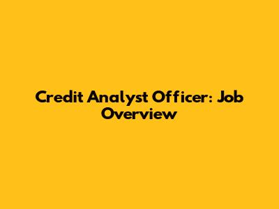 Credit Analyst Officer: Job Overview