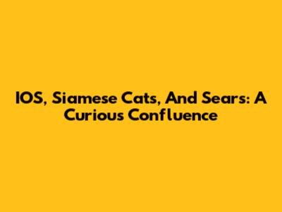 IOS, Siamese Cats, And Sears: A Curious Confluence