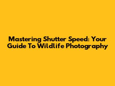 Mastering Shutter Speed: Your Guide To Wildlife Photography