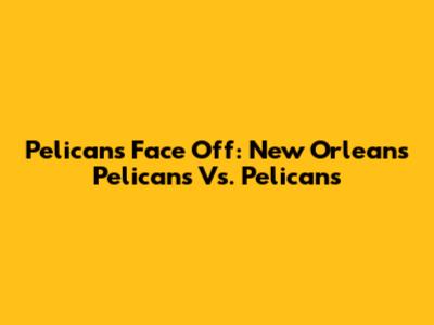 Pelicans Face Off: New Orleans Pelicans Vs. Pelicans